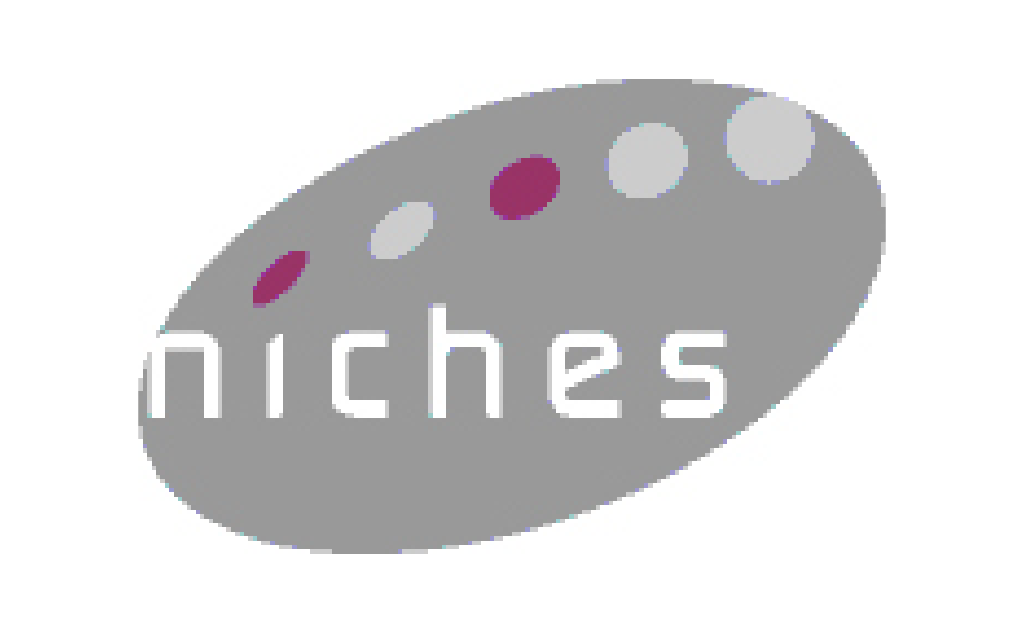 Logotipo de Proyecto Europeano NICHES